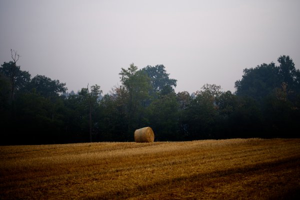 Photo 007